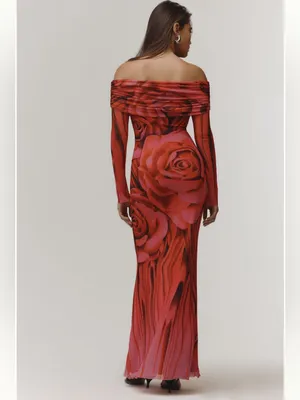 Anthropologie AFRM Long-Sleeve Off-The-Shoulder Mesh Maxi Dress thumbnail 3