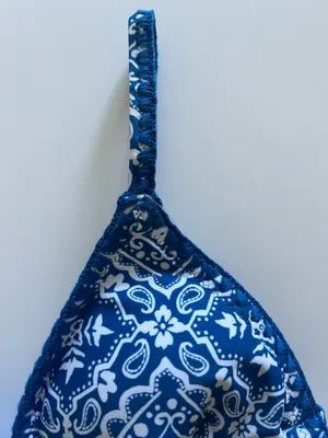 {Hollister} Brand New Blue Embroidered Stitch Triangle Bikini Top thumbnail 3