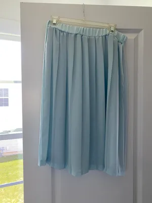 Blue Skirt thumbnail 2