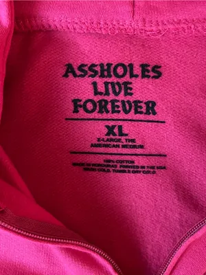 Assh**es Live Forever Pink Zip Hoodie Women’s XL Graphic Logo Oversized thumbnail 4