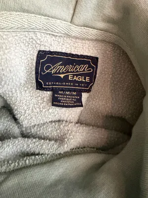 Men's Sage Green american eagle Hoodie thumbnail 4