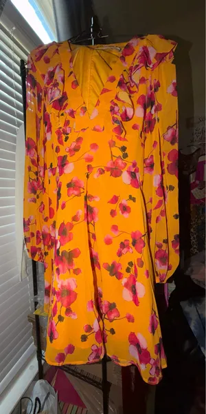 Hutch Anthropologie Roper Orange Size M thumbnail 9