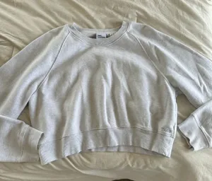 Aritzia Cropped Crewneck TNA thumbnail 1
