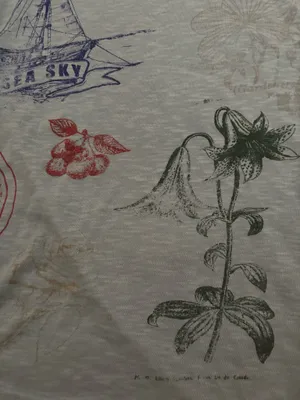 Anthropologie tshirt  thumbnail 2