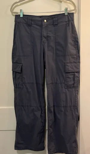 BDG Dark Gray/ Blue BDG Relaxed‑Fit Cargo Pants- Size M thumbnail 1