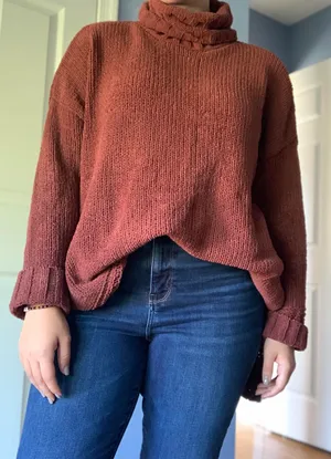Aerie Turtleneck Sweater thumbnail 1