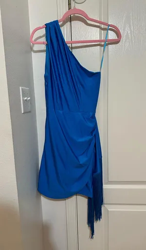 Petal and Pup Blue Dress NEW! thumbnail 2