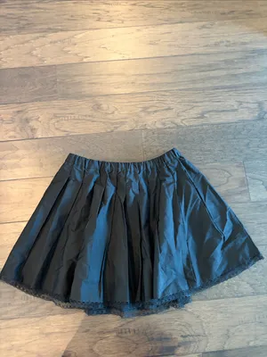 New With Tags JCrew Lace Trim Pleated Skirt Sz S thumbnail 4