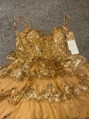 Stacees Shine in this elegant gold lace dress, perfect for any special occasion. The intricate lace detailing adds a touch of sophistication. thumbnail 4