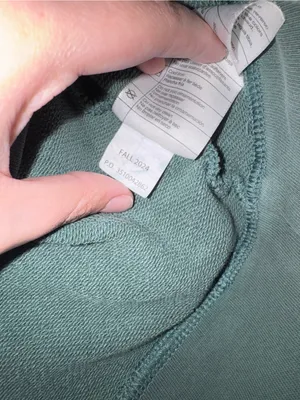 Carhartt Women's Crewneck Sweatshirt in Sage thumbnail 5