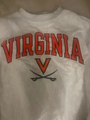 Virginia Crewneck Champion thumbnail 2