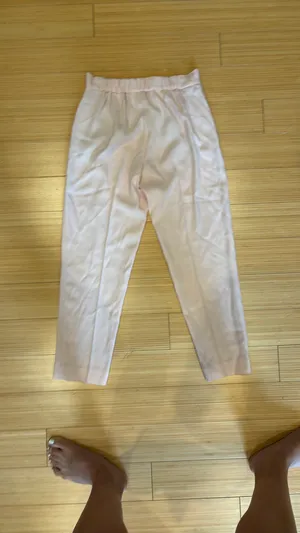 Aritzia Babaton Work Pants thumbnail 2