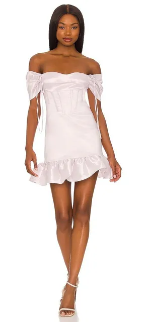 Rosa Mini Dress thumbnail 1