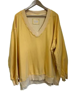 Aerie Oversized V Neck Yellow Soak It Up Tropical Sweatshirt‎ Beachy L thumbnail 1