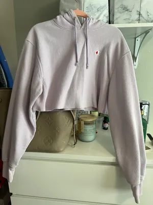 Champion Cropped  Hoodie thumbnail 1