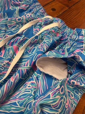 Chubbies Shorts thumbnail 6