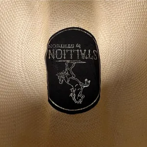 Stallion by STETSON straw cowboy hat, tan, hard shell, 7 1/8 thumbnail 4