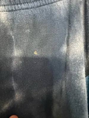 Aviator Nation Sweatpants thumbnail 4