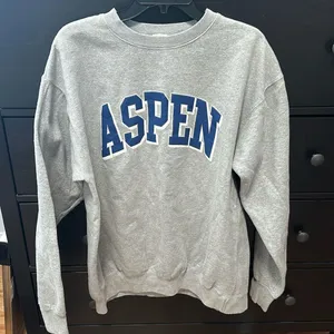 Brandy Melville Aspen crewneck thumbnail 1