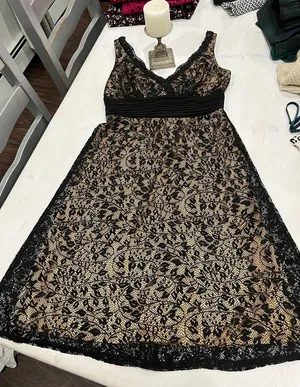 SL Fashions Womens Black Lace Gold Lining Sleeveless A-Line Midi Dress‎ Size 6 thumbnail 1
