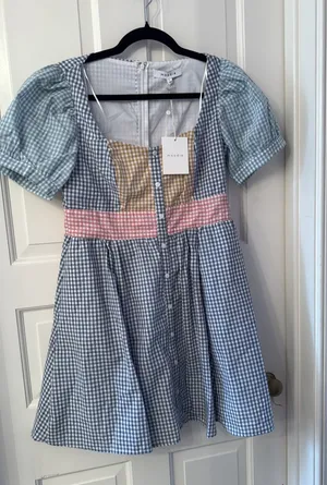Boutique Gingham Dress thumbnail 1