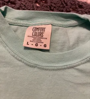 Comfort Colors Ford Bronco Oversized Tshirt thumbnail 3
