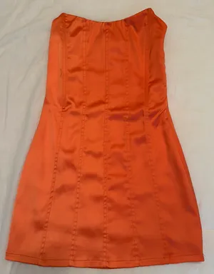 Mini Dress  thumbnail 1