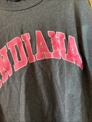 Indiana Gray Crewneck Sweatshirt with Pink Logo Large thumbnail 2