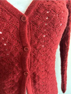 Petal & Pup delicate pointelle knit design Cardigan Sweater, Rust, Small, NWT thumbnail 5
