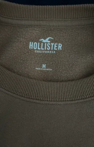 Hollister Hoodie thumbnail 4