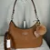 Coach Teri Hobo Bag