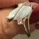 White Gold Plated Brass Created Fire Opal with cubic zirconia sz 6