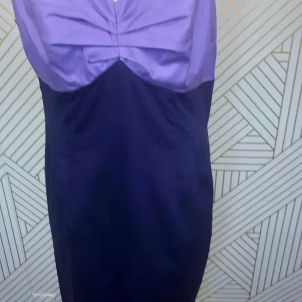 Boden Colorblock Purple Empire Sleeveless Dress‎ - Image 3