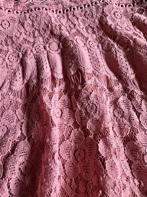 Dusty Rose Lace Blu Pepper Dress - Image 4