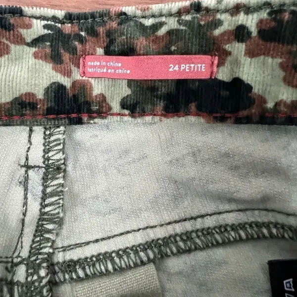 Anthropologie Pilcro Green Print Corduroy Skinny Pants - Size 24P - Image 4