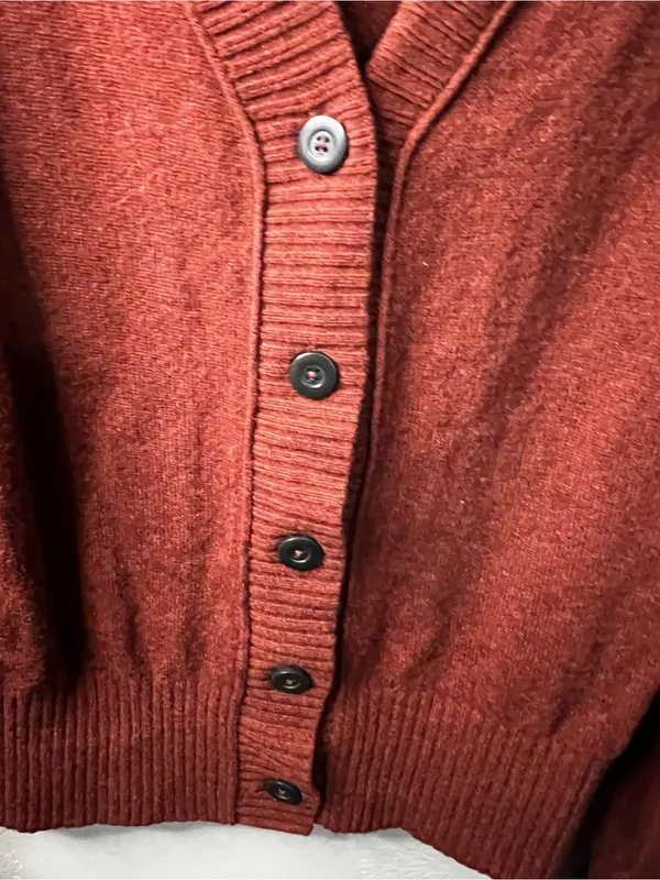 Everlane ReCashmere Wool Rust Red Varsity V Neck Button Front Cardigan Sweater - Image 4