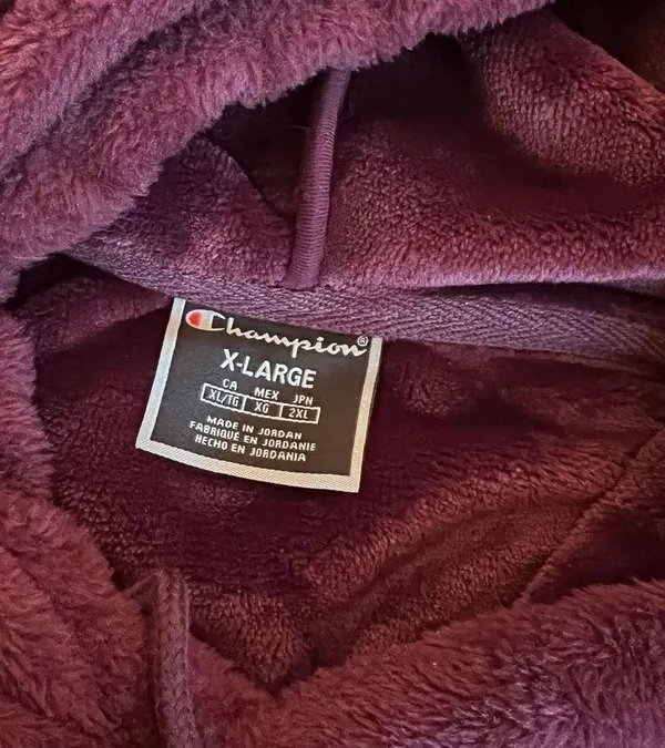 Champion Hoodie - Image 2