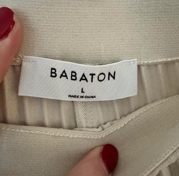 Aritzia Skilled Pants - Image 3