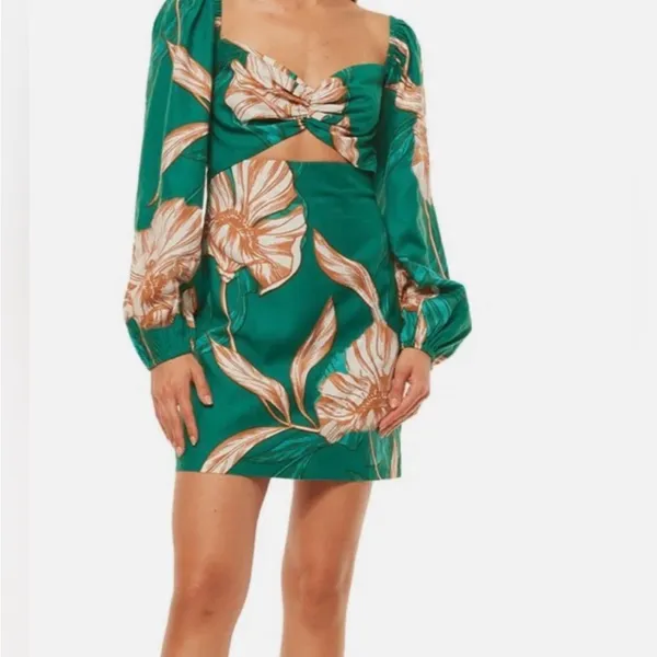 NWT MISA Los Angeles NiNa dress Cartagena Flora Size XS ./ Retail $395 - Image 6