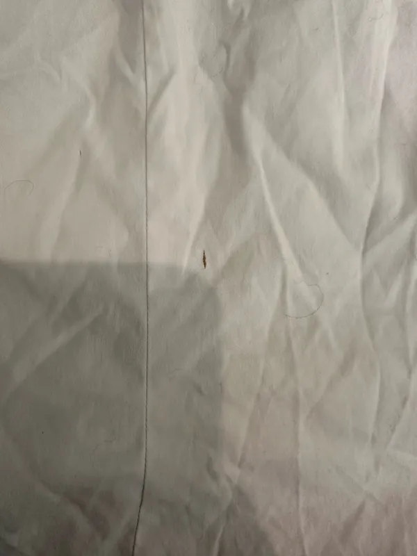 ZARA Top - Image 6