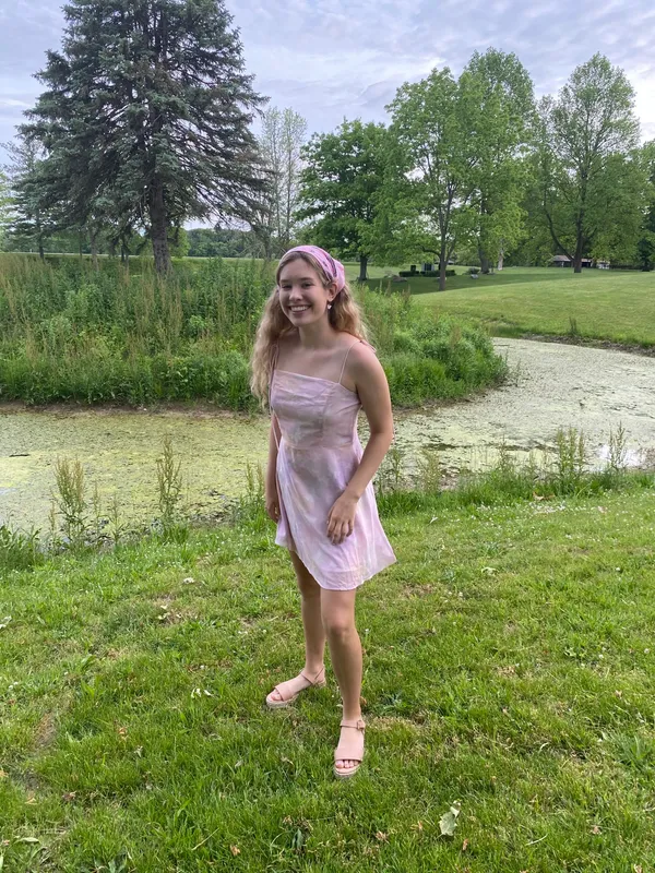 Shein Pink Butterfly Dress - Image 2