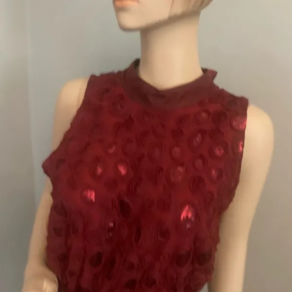 Nwt Anthropology Wine Boardx 3 -D Floral Dress Sz‎ 10 - Image 8