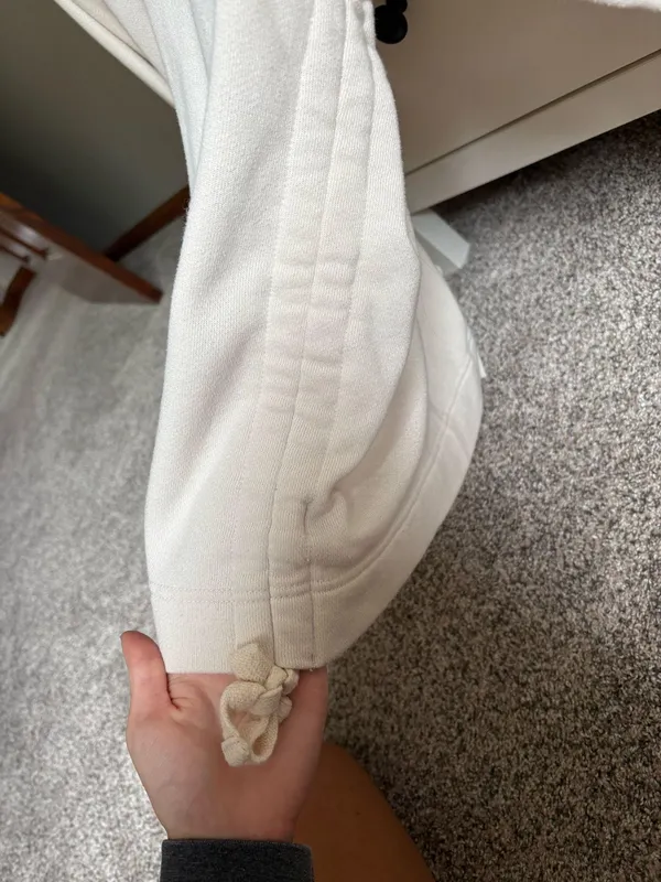 Tan Aerie Hoodie - Image 3