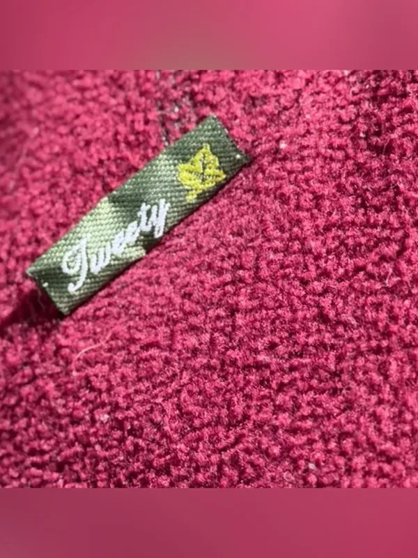 Vintage Y2K Looney Tunes Tweety Bird Fleece Hoodie Burgundy Small - Image 3