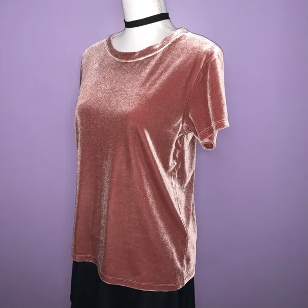 Abercrombie & Fitch Mauve Velour Top - Image 5