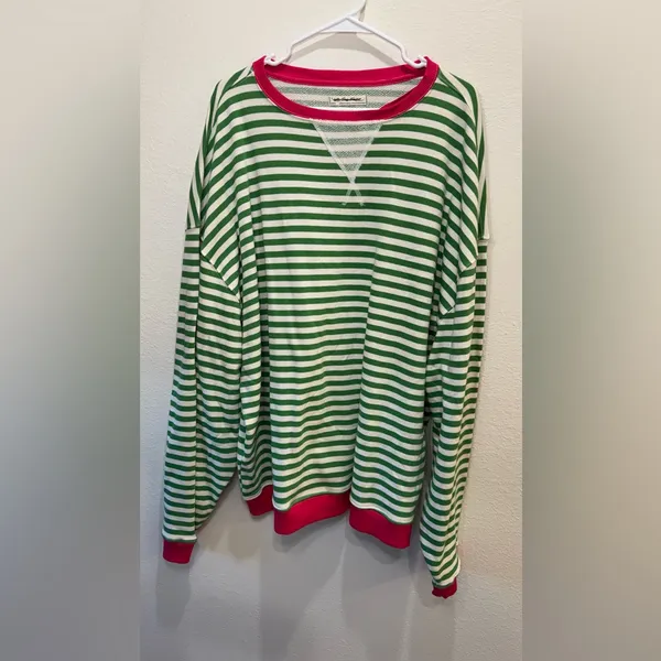 We The Free NWOT Free People Classic Striped Oversized Crewneck Green Top Size L - Image 6