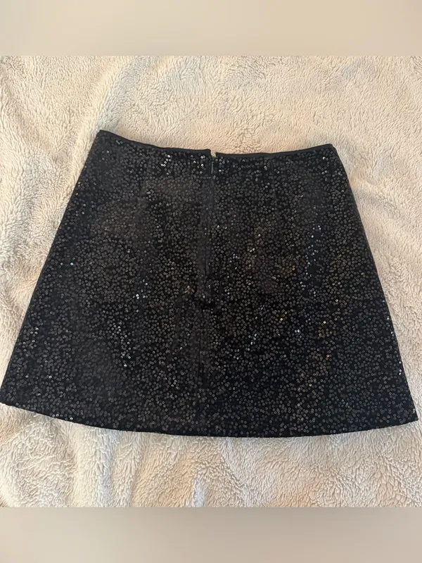 Zara Velvet Sequin Mini Skirt - Image 2