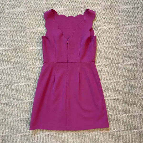 Ann Taylor Loft Pink Scalloped Dress 0P - Image 4