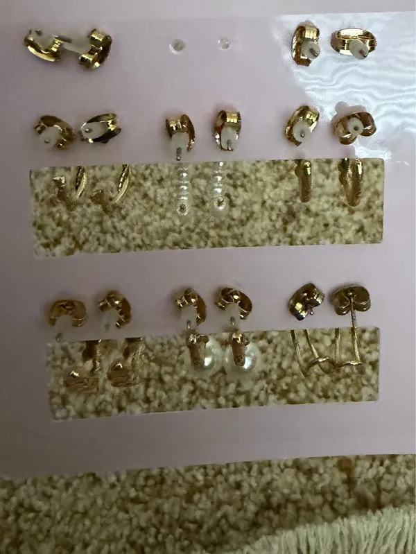 Wild Fable Earrings Set - Image 2