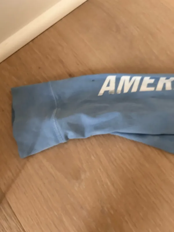 Blue American Eagle - Image 7